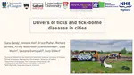 Talk at the 'Let's talk about ticks' conference in September 2025