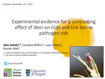 Talk at the Lyme disease workshop in November 2019
